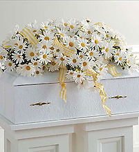 Infant Casket Spray with Daisies